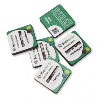 Семена конопли купить сорт Critical + Auto Fem. Семена конопли купить сорт Critical + Auto Fem.